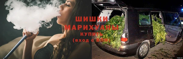гидропоника Белоозёрский