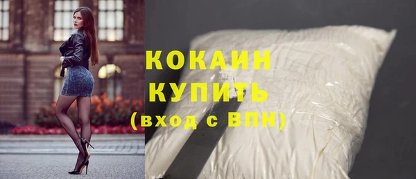 прущие грибы Беломорск