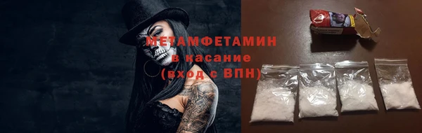 прущие грибы Беломорск