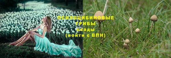 гидропоника Белоозёрский