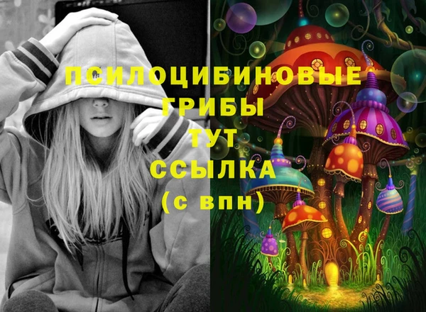 гидропоника Белоозёрский