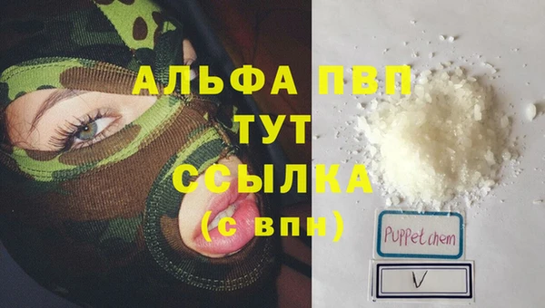 прущие грибы Беломорск