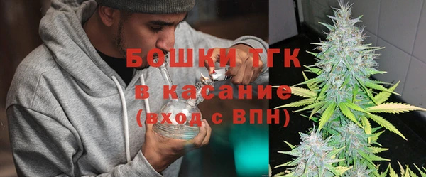 прущие грибы Беломорск