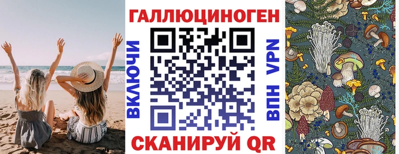 Галлюциногенные грибы Psilocybe  Купить закладки  Петухово 